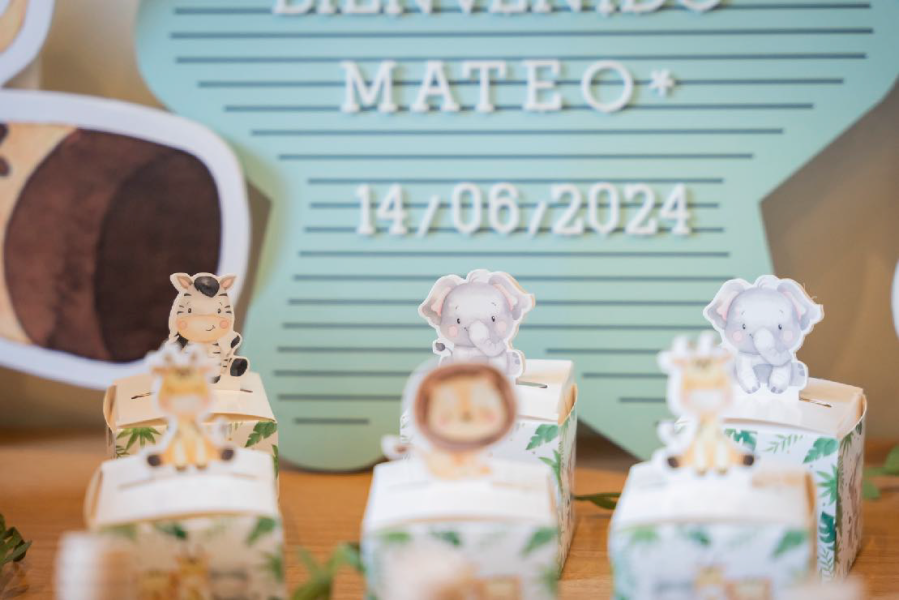 nacimiento y hospital6
